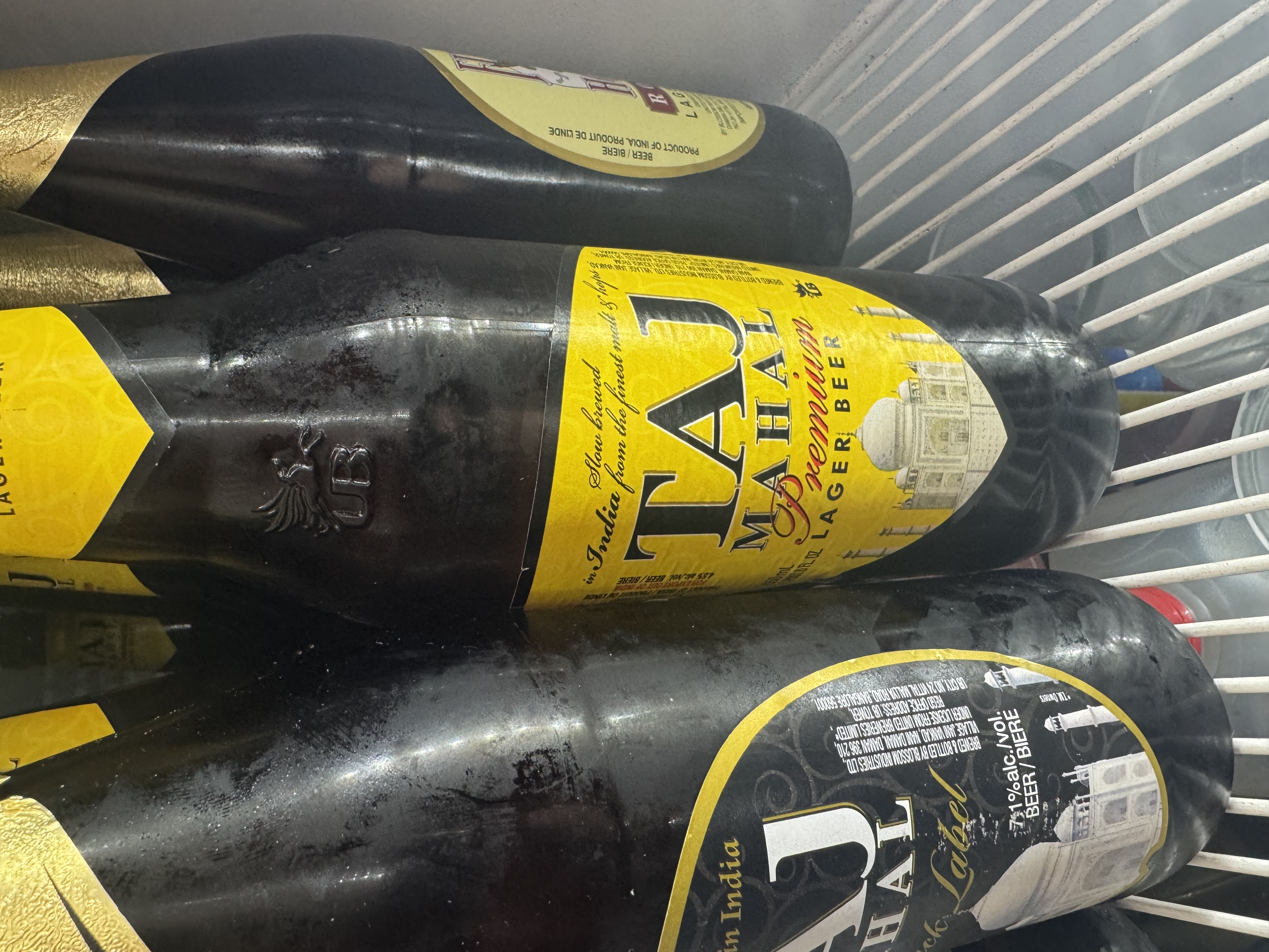 Taj Mahal (22oz) Indian Beer