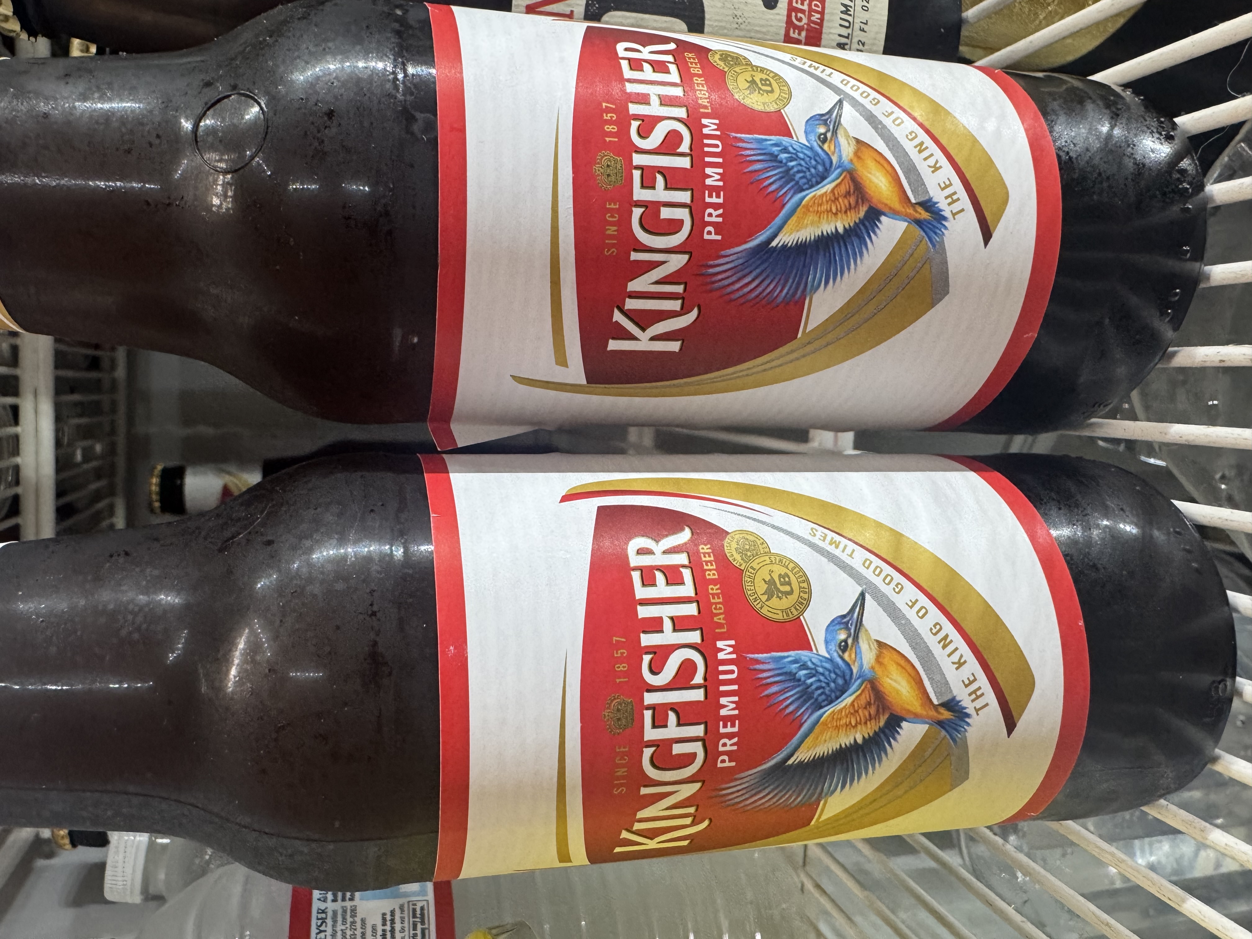 Kingfisher (12 oz) Indian Beer